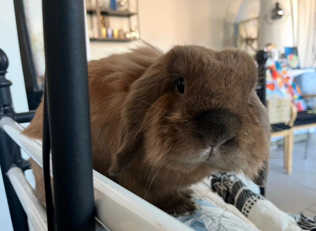 Fitania Stuudio - фото 4