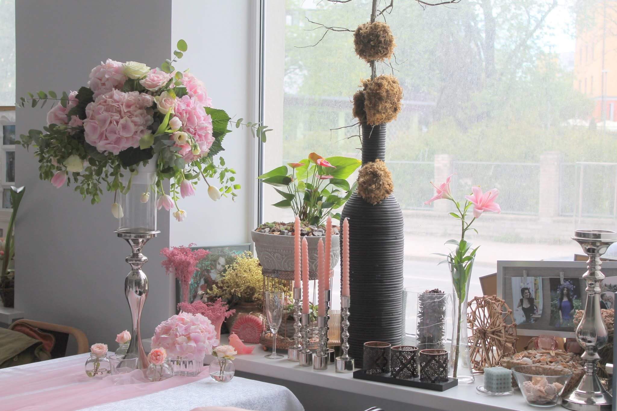 Fitania Stuudio - фото 1